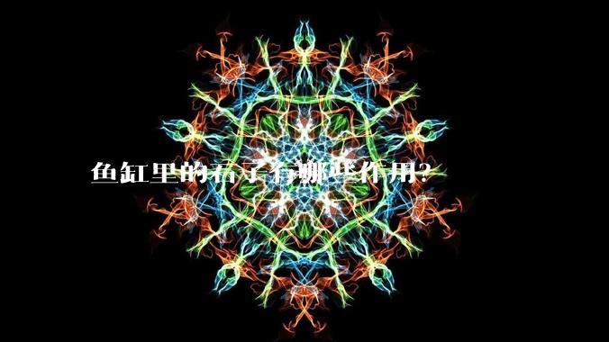 鱼缸里的石子有哪些作用？